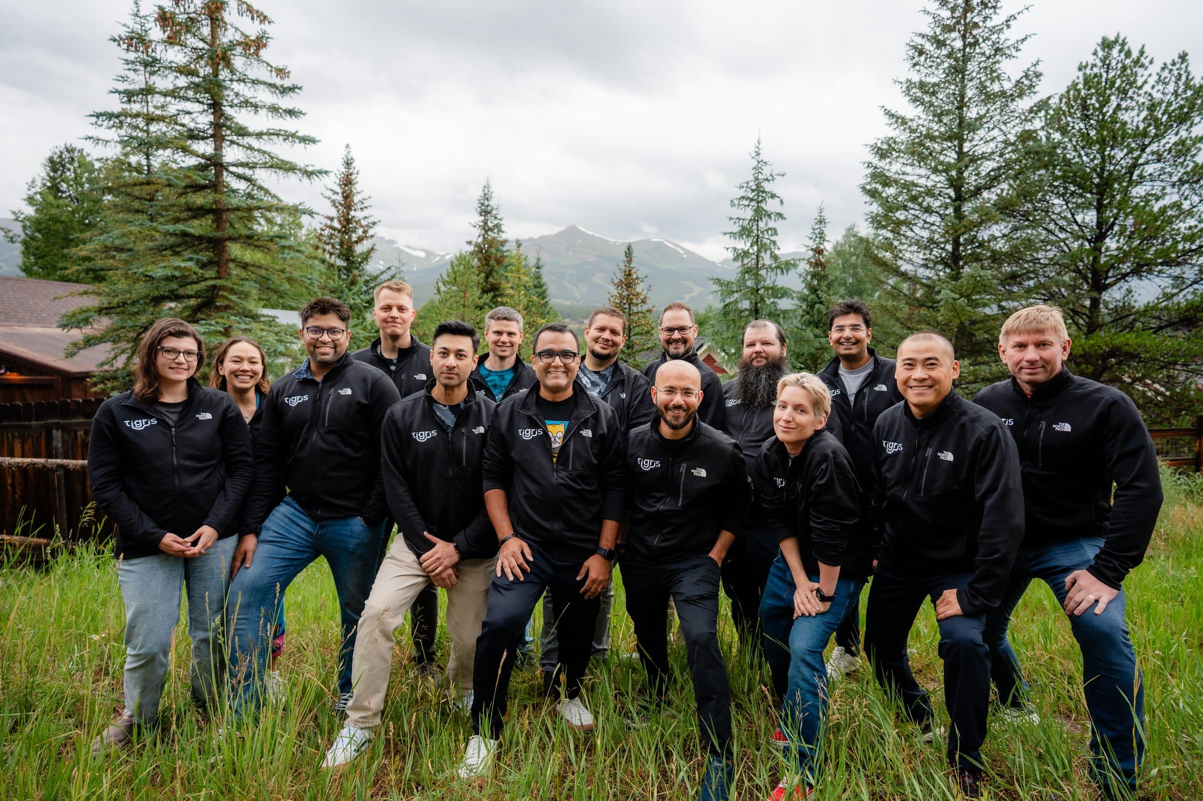 The Tigris team