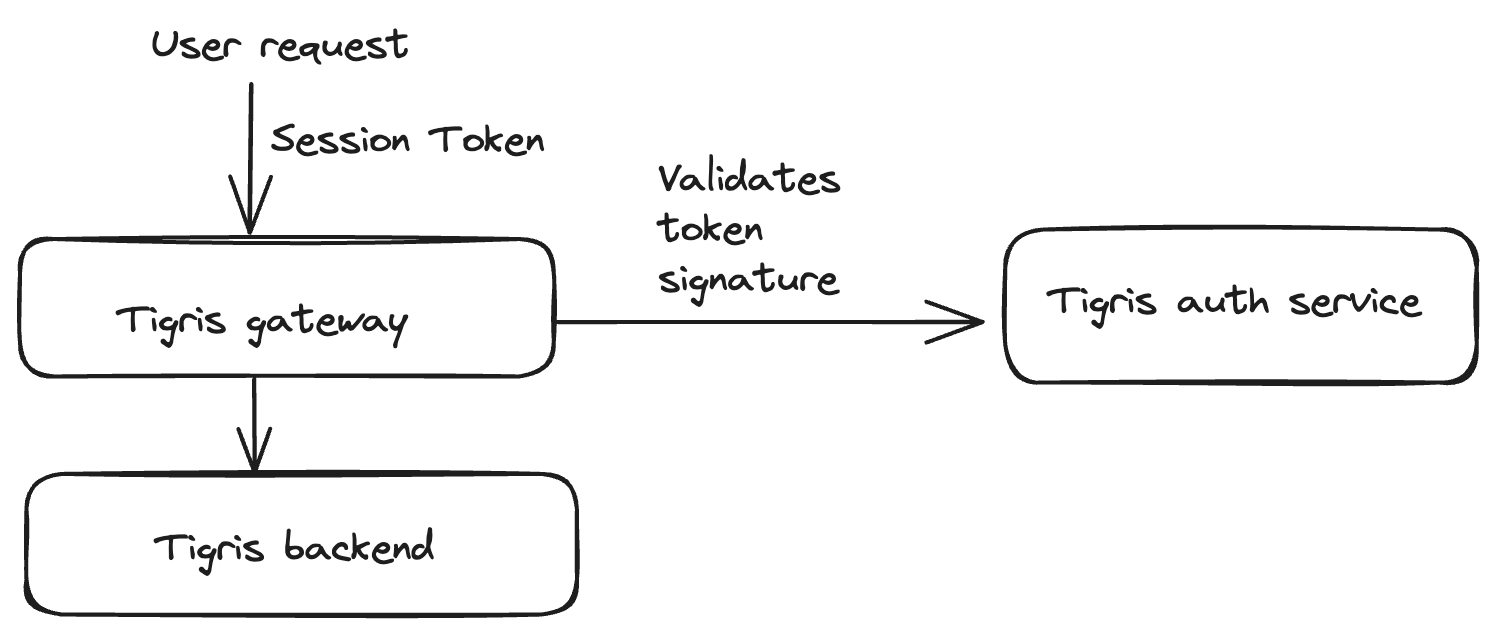Session token based authentication